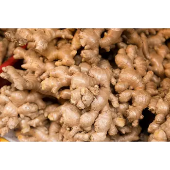 ginger (9)-1118227-69625.webp
